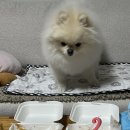 견식도락 부산시청점