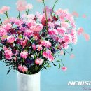 시민공원역사(2호선) 뉴시스