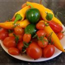 시작한의원 이미지