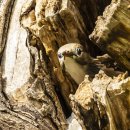 부리보건지소 이미지