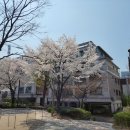 문정어린이공원 이미지