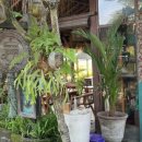 카페 코.코 이미지