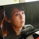 주식회사 투에이드 | 이런 여행 후기 처음일걸? 일본 도쿄 #6 : 하라주쿠 골목골목 그리고 시부야의 밤