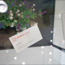 퍼피하우스 인천송도점 이미지