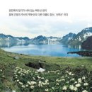용화만물 이미지