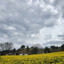 광양카랜드 이미지