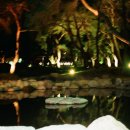 대율초등학교 이미지