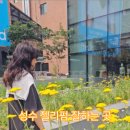 위드약품 | 성수동 미용실 젤리펌 잘하는 곳 성수역 샵위드 본점 예약 추천 가격 후기