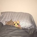 다이소 앞 이미지