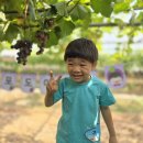 병권농장 이미지