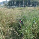 밤까시목장 이미지