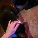 부암역 5번 출구 교통섬 | [0330] 마이리얼트립 대만 버스투어 내돈내산 후기