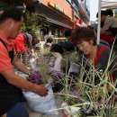 성수2가제1동주민센터 이미지