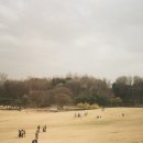 꽃보다 이쁘개 이미지