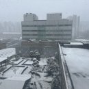중앙대학교 병원 | 흑석동 중앙대학교병원 둘째 제왕절개 후기