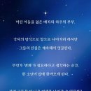 래빗홀