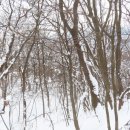 석성산 등산로 이미지