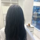 Park·진헤어