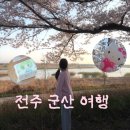 맥안경나무 | [전주군산] 전주 그리고 군산 벚꽃 여행 2박 3일