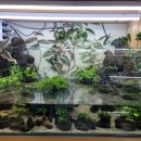 비바리움매니아 이미지