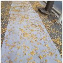 비에이치씨(BHC) 새만금점 이미지