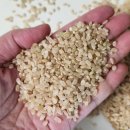 라이노짐 이미지