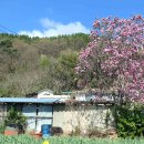 철길숲(양학동) 이미지