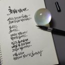 꽃그리고캘리그라피