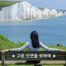 금요일 아침편지! '고운 인연을 위하여' / 포인세티아 이미지