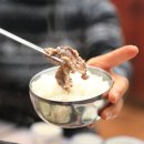 터미널 흑염소