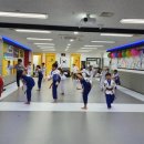 용인대 청당 태권도 이미지