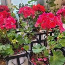 신구농장 이미지