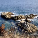 용화해수욕장B 이미지