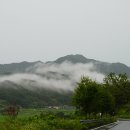박관장점빵 네이버블로그