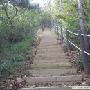 당중초등학교 Daum카페