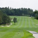 뉴웨이골프 이미지