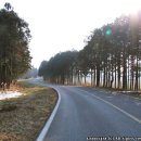 만화목장 이미지