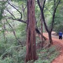 계족산황톳길 이미지