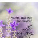 가람디지탈주 네이버블로그