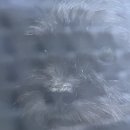 수원시동물보호센터정문 | 포인핸드로 유기견 입양했어요 (수원시 동물보호센터 후기)🐕😍