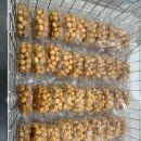 한국전기안전공사 대전충남지역본부 | 대전 스윗오븐 답례품 승진기념 쉬폰후르츠케이크 대전수제오란다