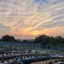 해넘이농장 이미지