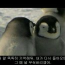 하비토모