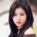사나폰