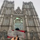 [콘서트] 2019 폴킴 투어 콘서트 <마음> 후기 : 팔방미인 킴폴씨(๑′ᴗ‵๑)