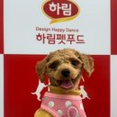 더리얼 | [공주] 강아지와 함께한 토요일 오후, 하림펫푸드 - 더리얼개슐랭 투어 후기