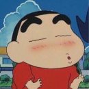 [가평 펫펜션] 가평 댕댕이 애견 펜션 그린 방문! #내돈내산 #강추