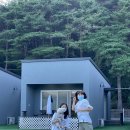 꼰띠고애견펜션1 네이버블로그