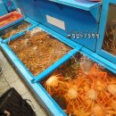 샛별회식당