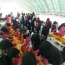 창평중학교 이미지